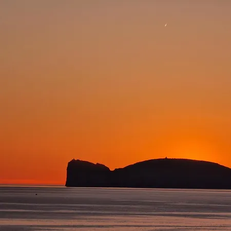 Piras 3* Αλγκέρο